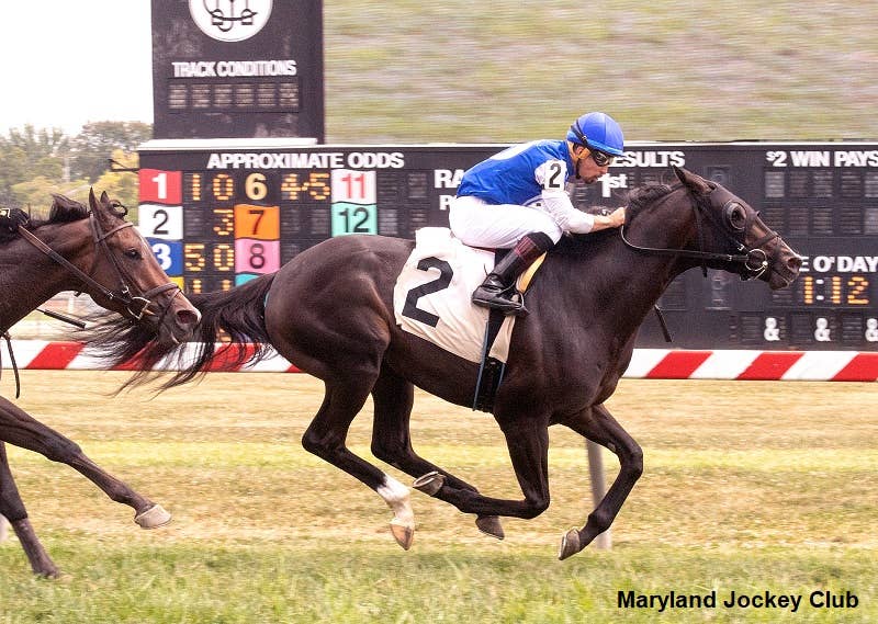 Indian Racing Drake Bird Indian Lake Gets Easy Win In Bald Eagle Derby At Pimlico - Paulick Report