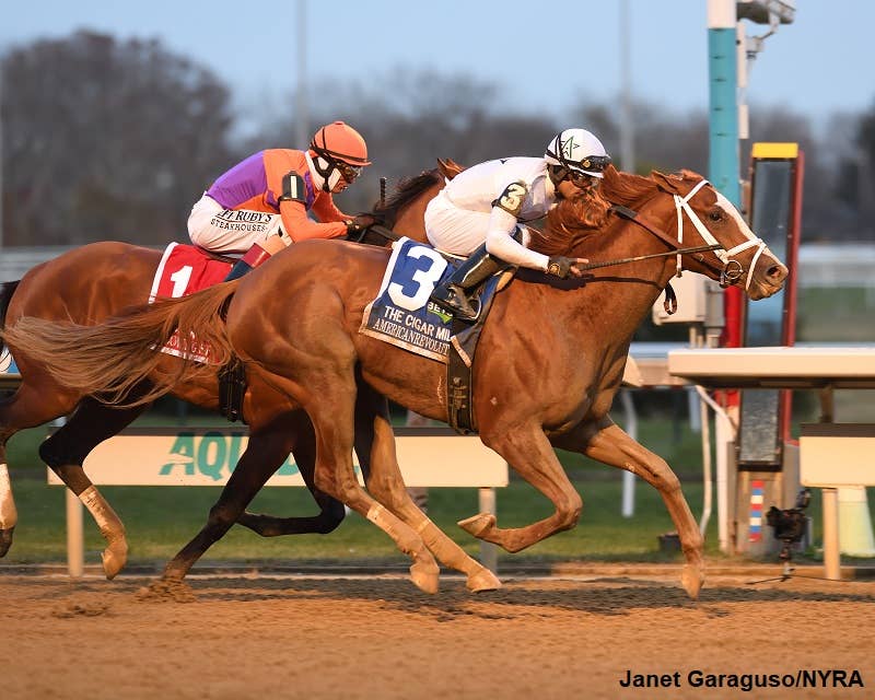 Stallion Spotlight Presented By New York Thoroughbred Breeders Inc ...