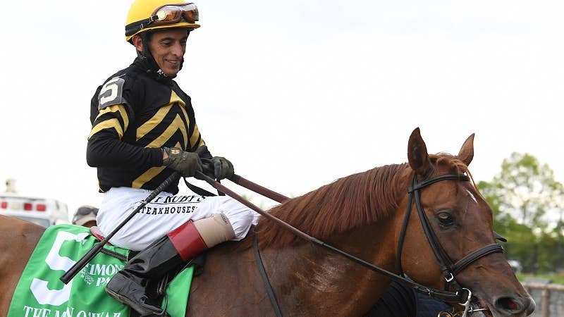 Grade 1 Winner Channel Cat Sold To Stand In Turkey