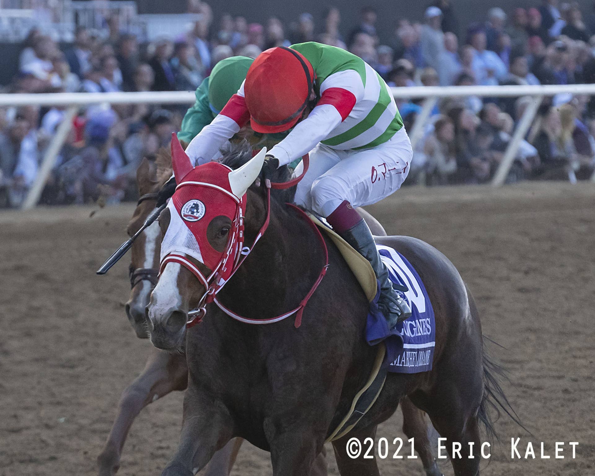 Saudi Cup The Perfect Swansong For Breeders' Cup Distaff Winner