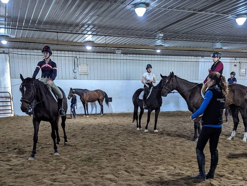 Retraining Class OTTBs Go To College: Unique University Class An Intriguing Model For ...