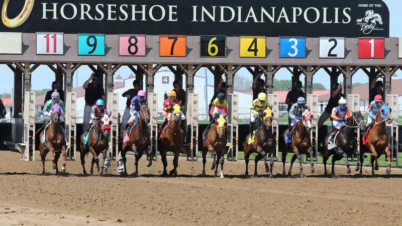 Rare Safety Rail Impact Proves Fatal For Quarter Horse At Horseshoe Indianapolis