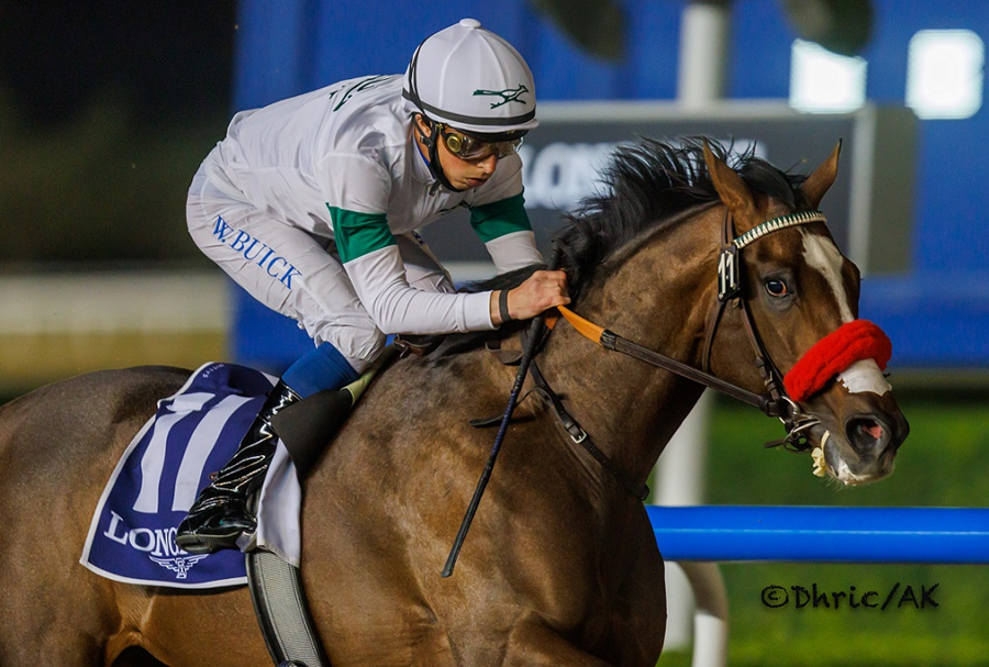 Hot Rod Charlie Makes Flying Start To Dubai Campaign - Paulick Report