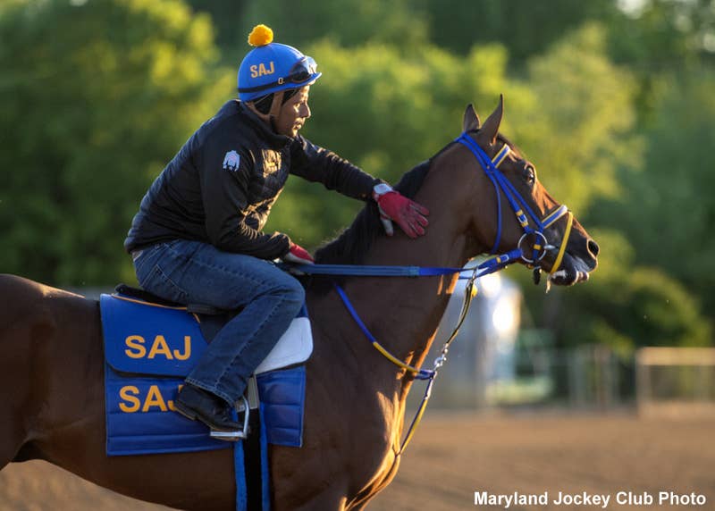 Jerry Raski Horse Racing Weekend Lineup Presented By Sky Racing: Monday Funday - Paulick Report