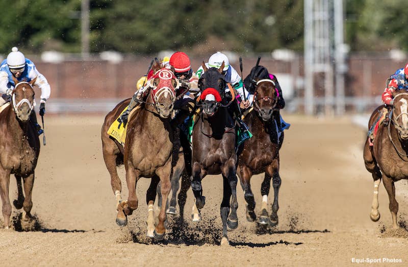 Jerry Raski Horse Racing 'It's Horse Racing, Not Jockey Racing': Migliore Doesn't Believe Sonny ...