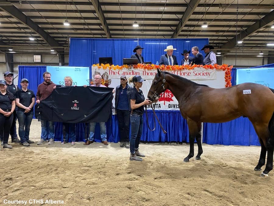 CTHS Alberta 2024 Thoroughbred Sale Catalog Now Online - Paulick Report