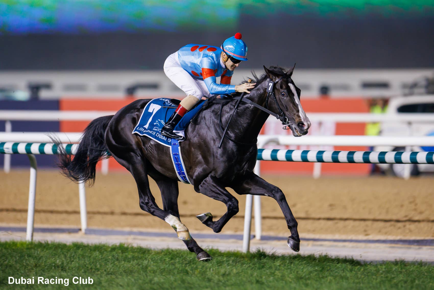 World's Top-Rated Racehorse Equinox Takes On 16 Rivals In 'Win And