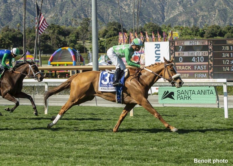 'A Horse That Loves To Run': Closing Remarks Accelerates In Lane To ...