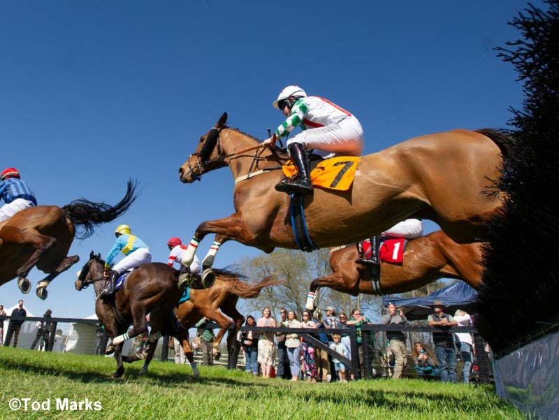 Weekend Doubleheader Jumpstarts Steeplechase Season With Aiken Races ...