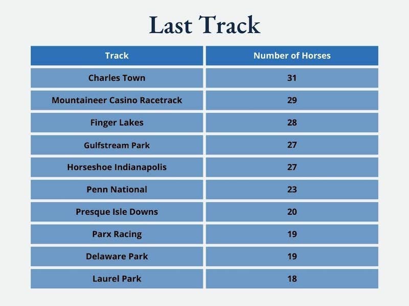 Next Home Rider Numbers 2023 Thoroughbred Makeover Numbers Show OTTB Values Rising; Half Of ...