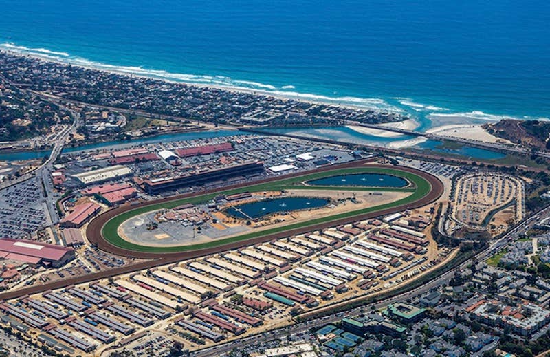 Hello Del Mar Del Mar Community Bouncing Back From Tropical Storm Hilary - Paulick Report