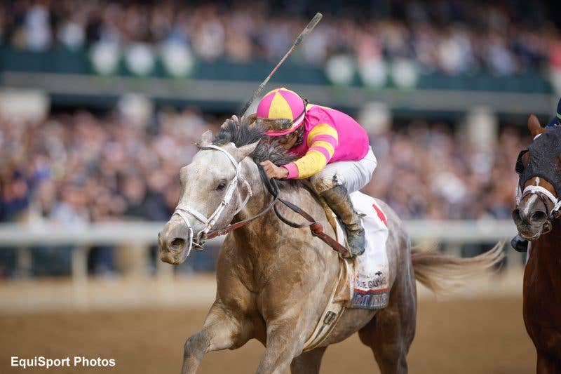 Talpit Raced Pletcher Looks To Travers For Former Classics Starter Tapit Trice ...