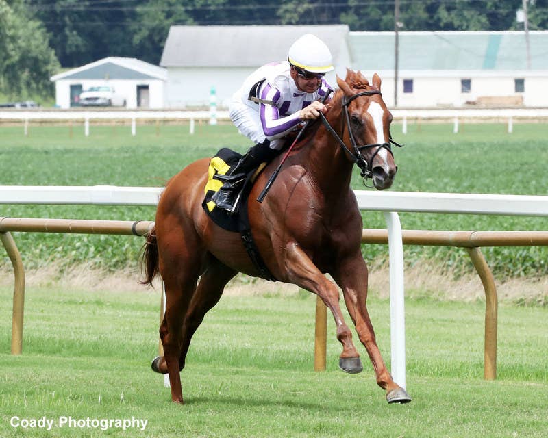 Chiseler Skims Rail To Victory In Dade Park Dash - Paulick Report