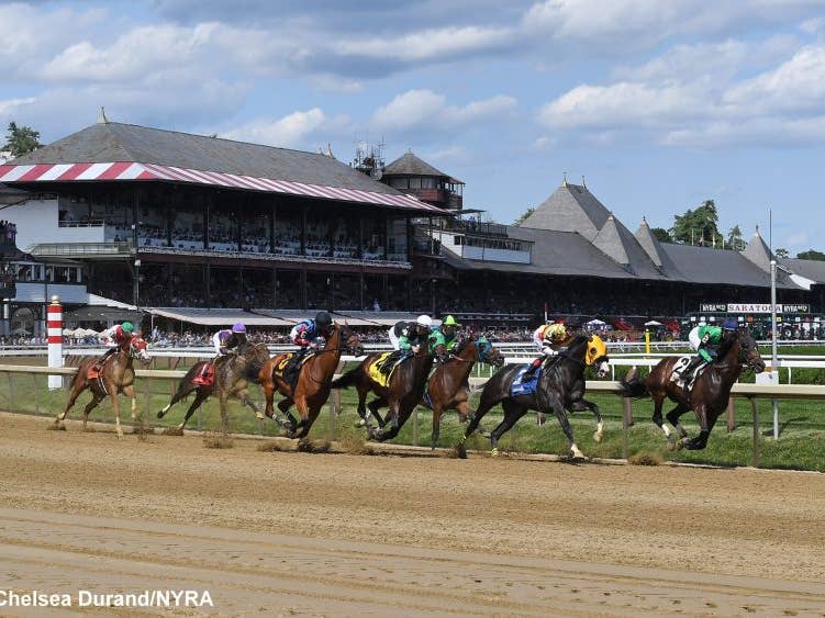 The Haiku Handicapper Presented By FanDuel Racing: 2024 Acorn Stakes ...