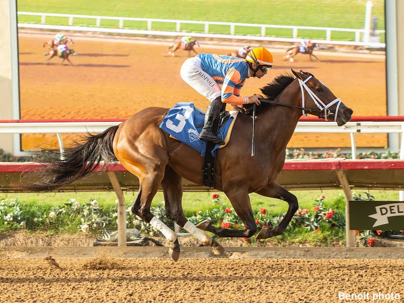 Pleasant Continues Comeback In Saturday's Las Flores - Paulick Report