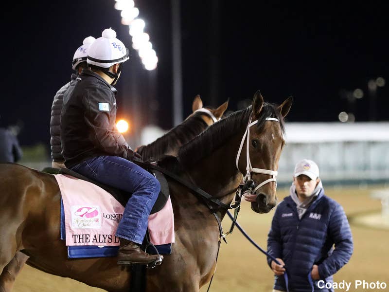 Kentucky Oaks Third The Alys Look Ships West, Will Make First Start For ...
