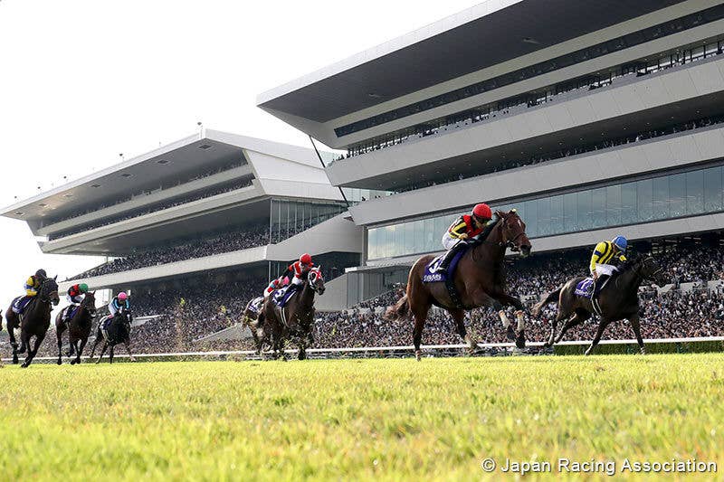 Liberty Island Secures Japan's Filly Triple Crown With Shuka Sho