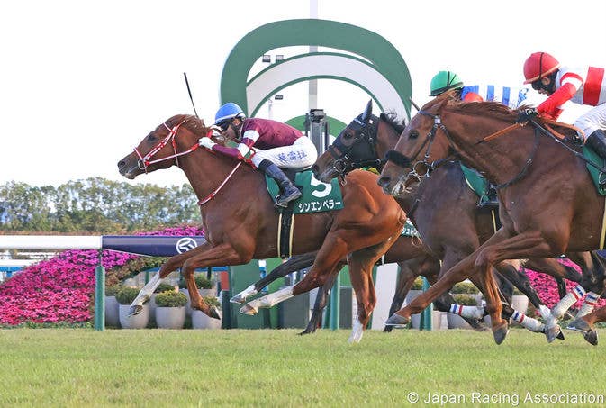 Shin Emperor, T O Elvis To Join Japan’s Kentucky Derby Contingent On ...
