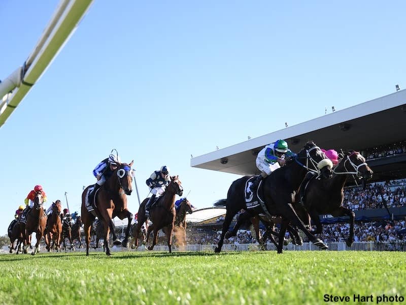 Australia: Golden Purses and Group 1 Glory - Paulick Report