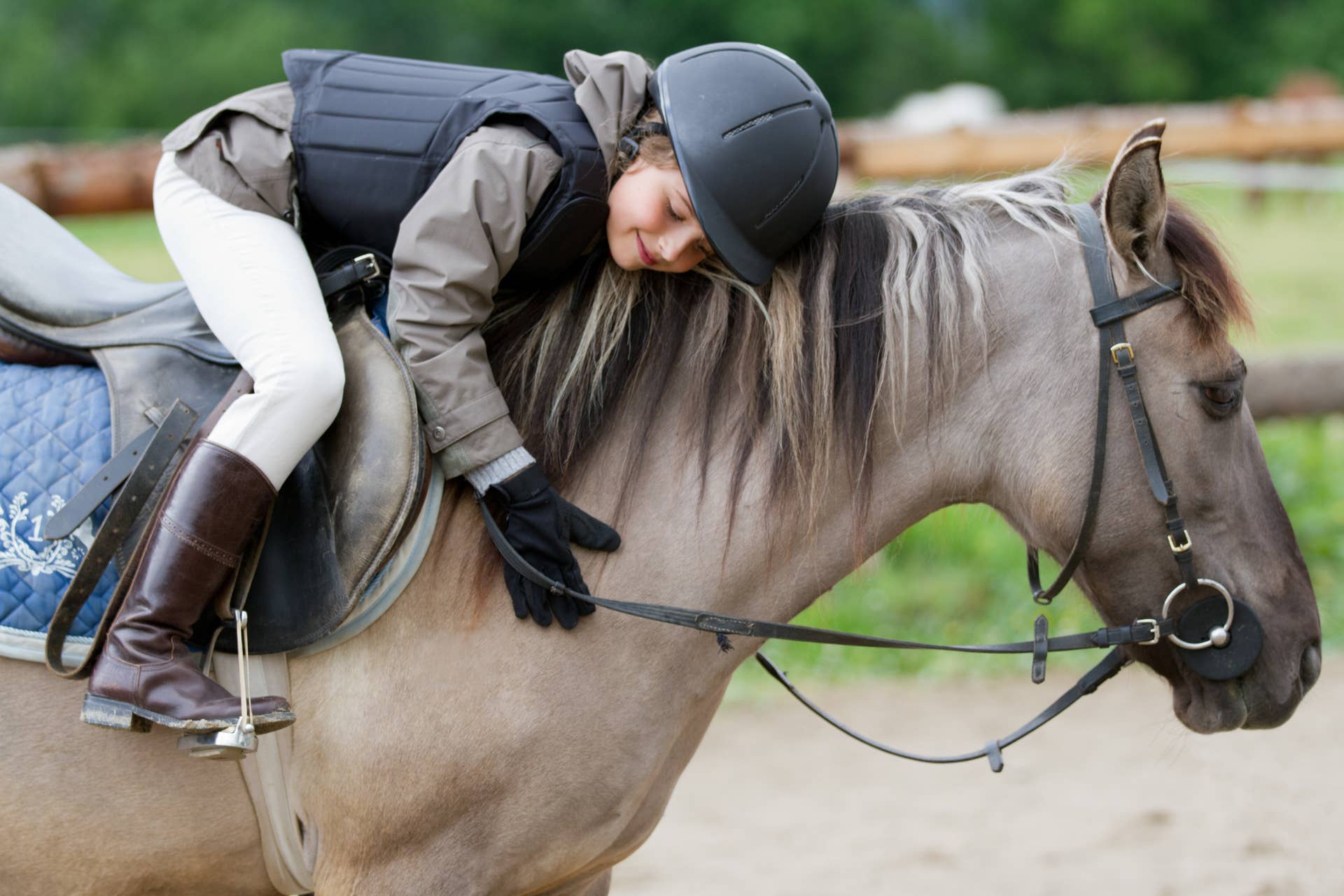 Study Suggests Horses At Larger Lesson Barns Have Longer Hours, Show ...