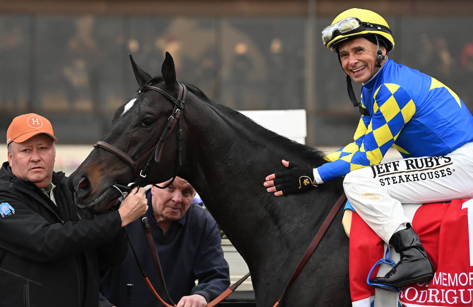 Graded Winner Mo Plex Enters Stud At New York's Mountain View Farm