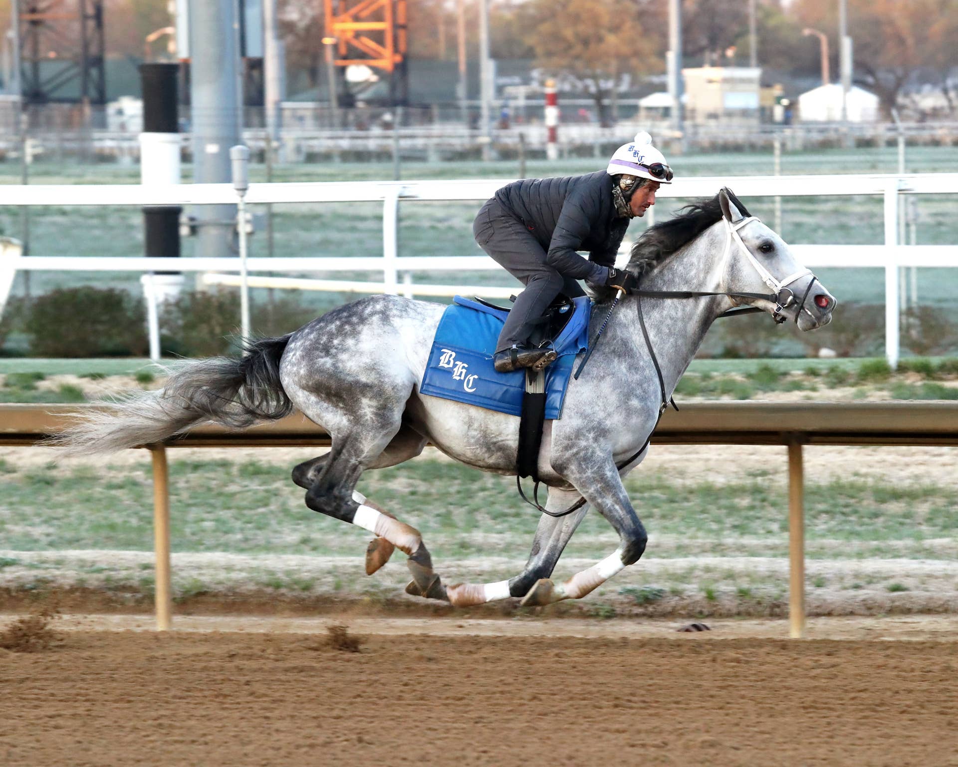 Final Gambit Gets 'Another Opportunity On Dirt' In Matt Winn - Paulick ...