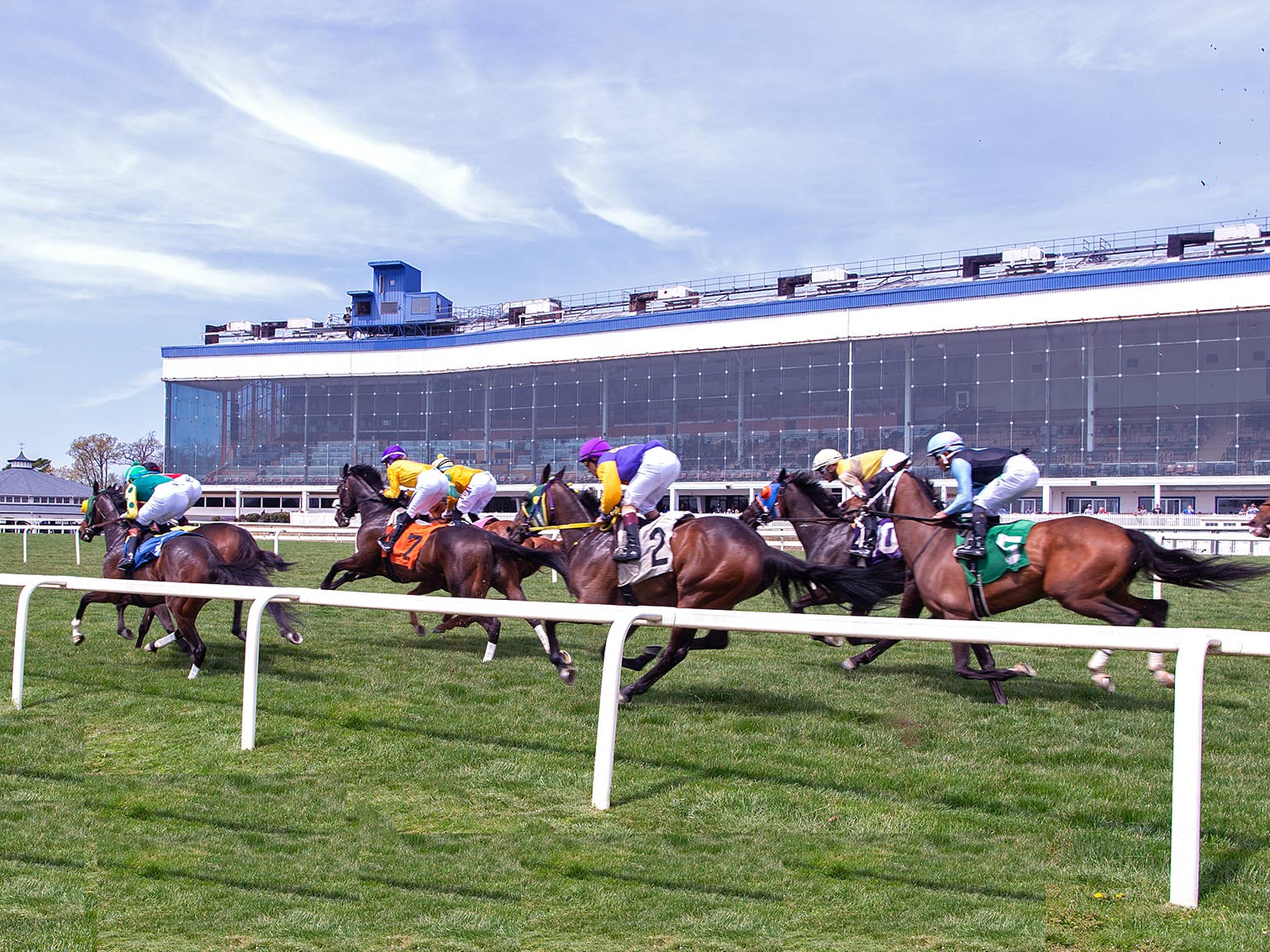 Paulick Report | Latest news and commentary from the horse racing and ...