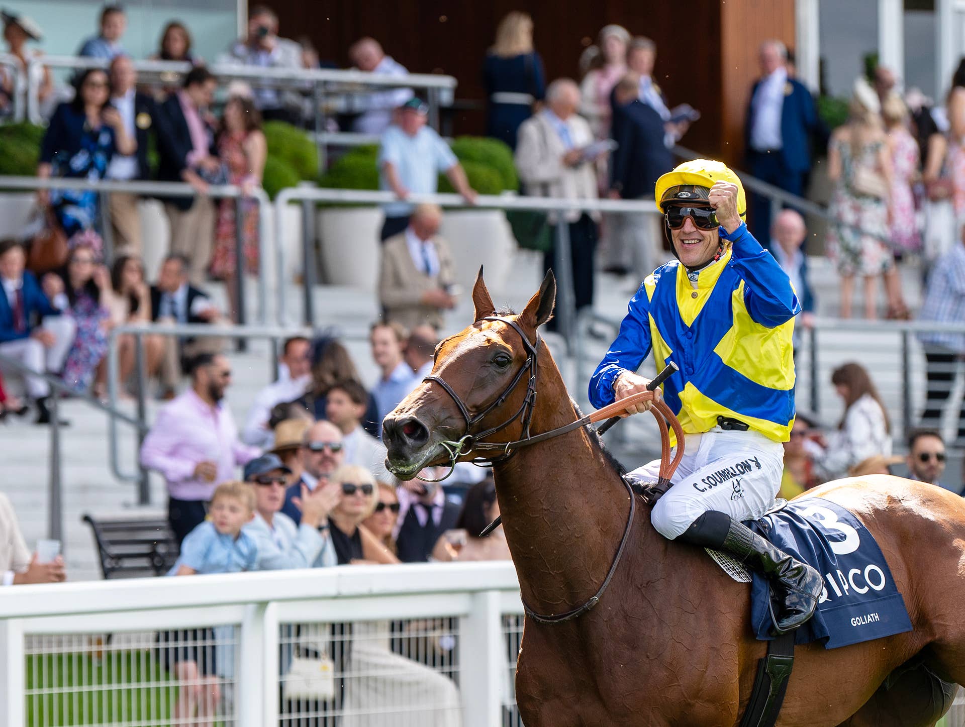 Patronus Racing Hong Kong Racing Insights: Stars Come Out On Sunday's Champions Day ...