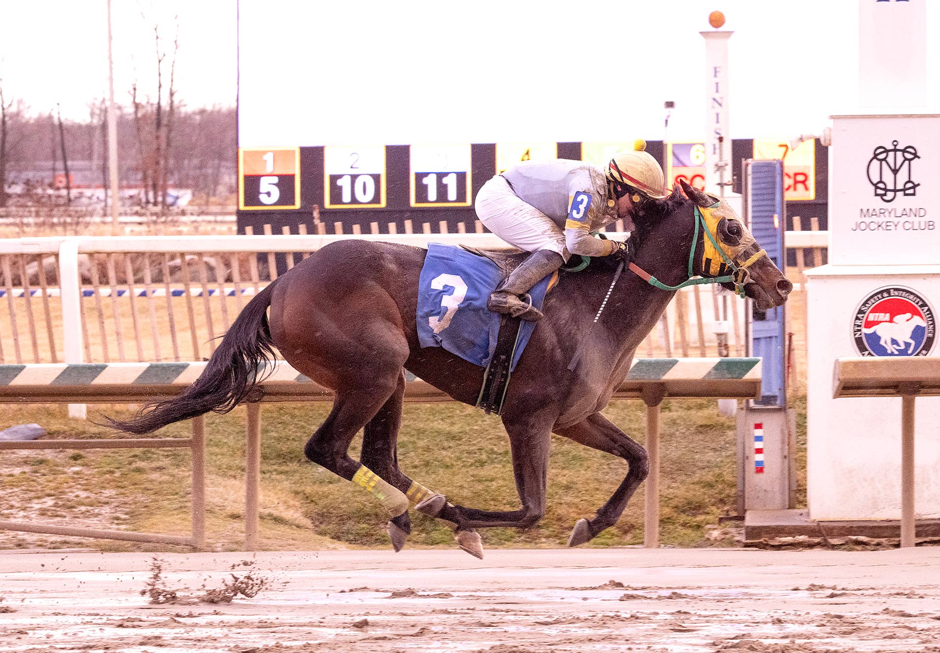 Rogaled Half Sister To Kentucky Oaks Runner-Up Entered In Inglis Digital USA ...