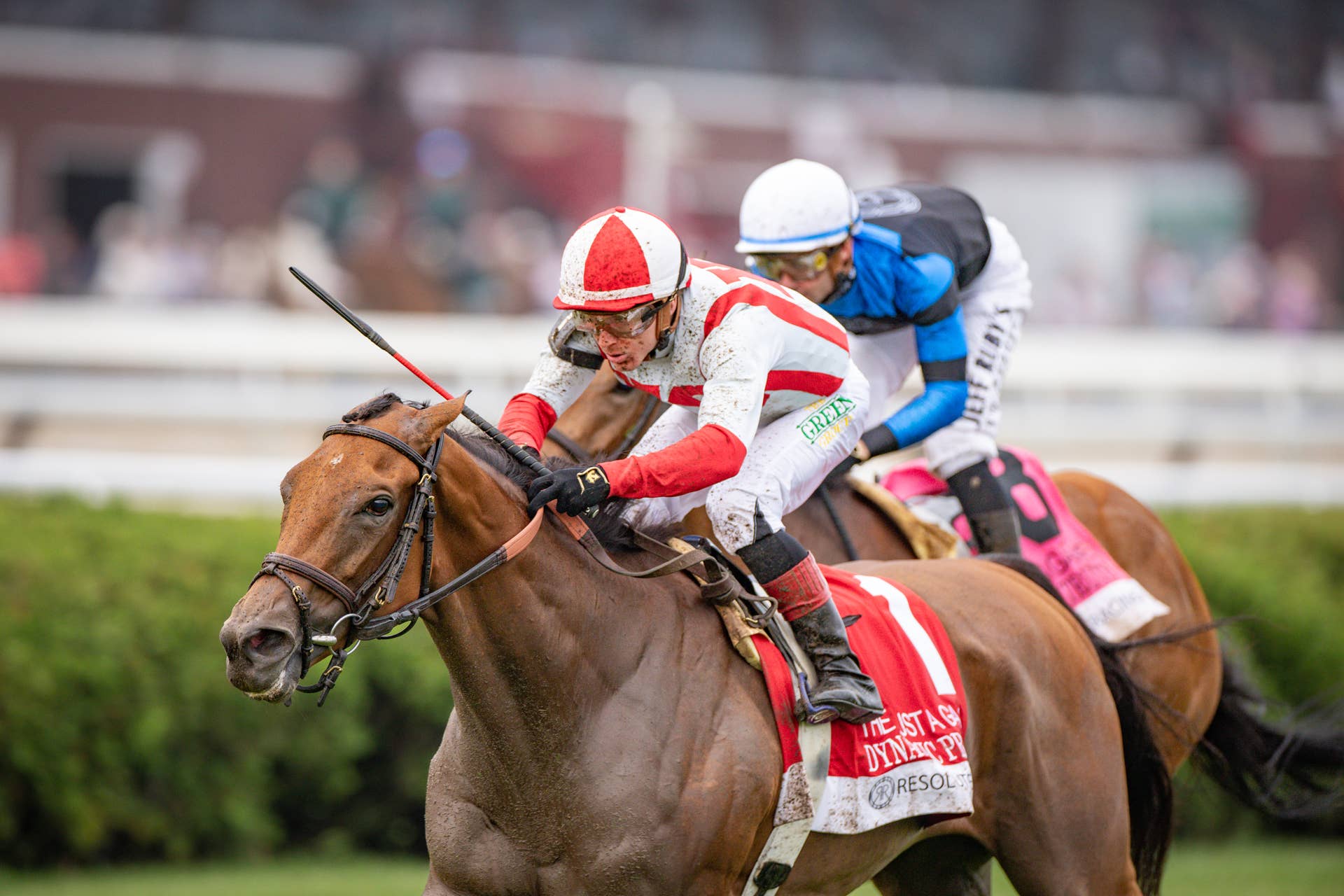 2011 Triple Crown Orfevre マーカー 【公式通販】