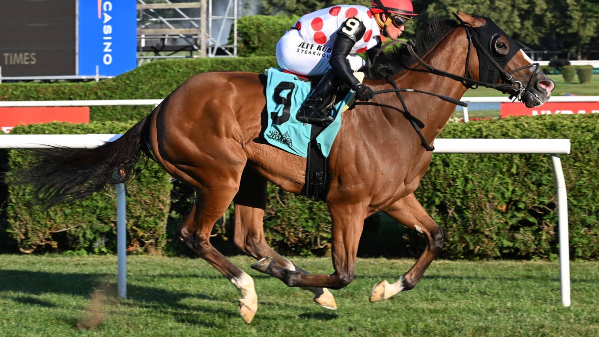 Bring Theband Home Tries To Repeat In Harvey Pack Stakes
