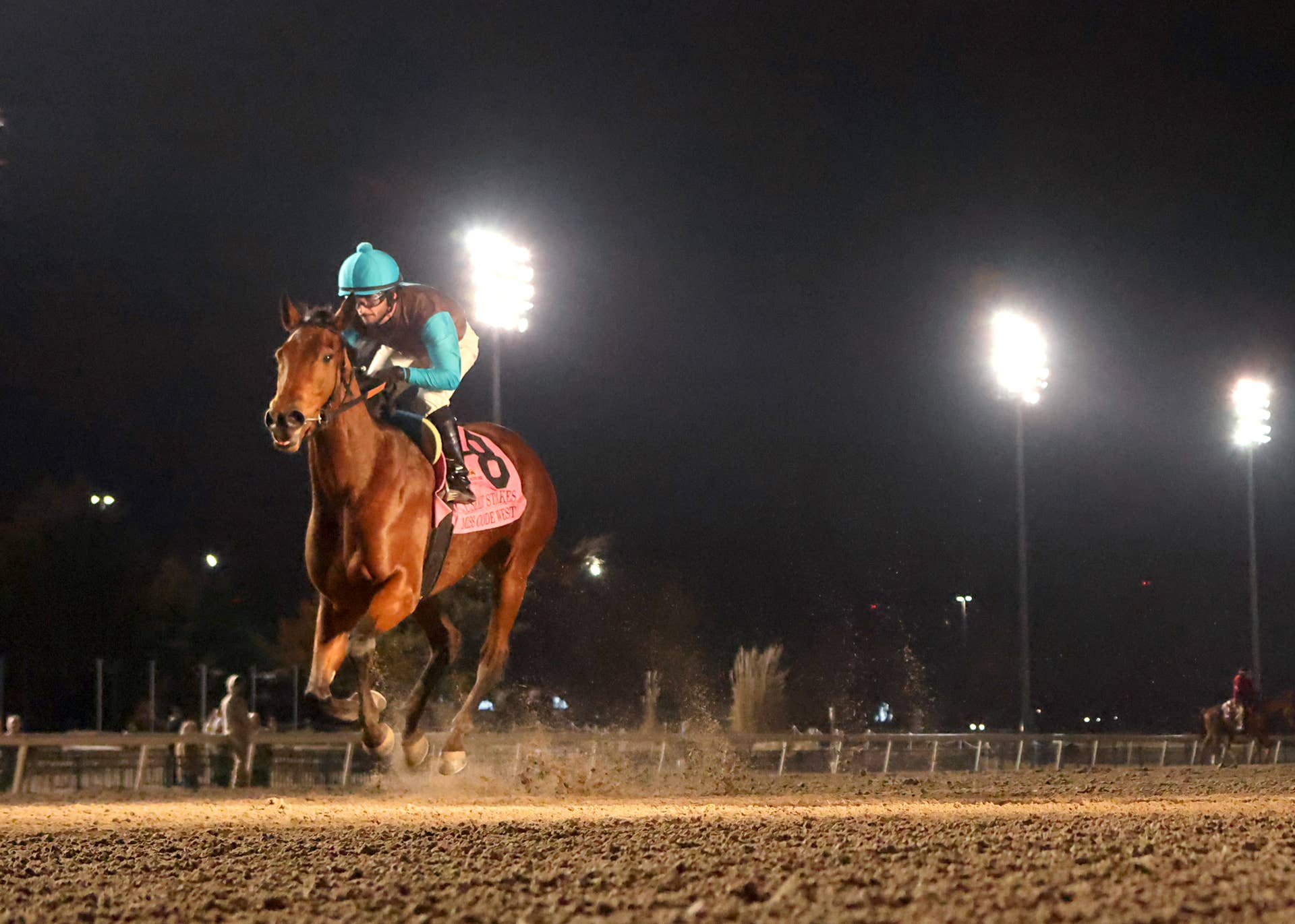 'As Sound As You Can Get': Miss Code West Chasing Remington Park ...
