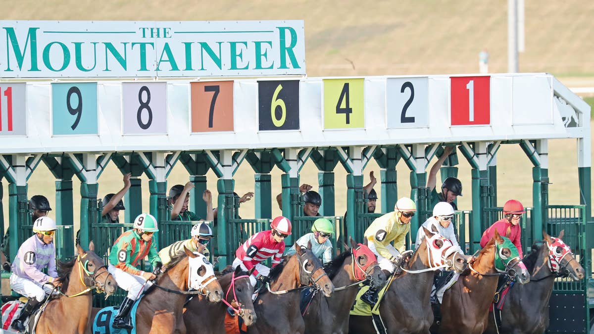 Mountaineer Vet Assistant Proclaims Innocence Over 'Excessive Use' Of InCompass Login