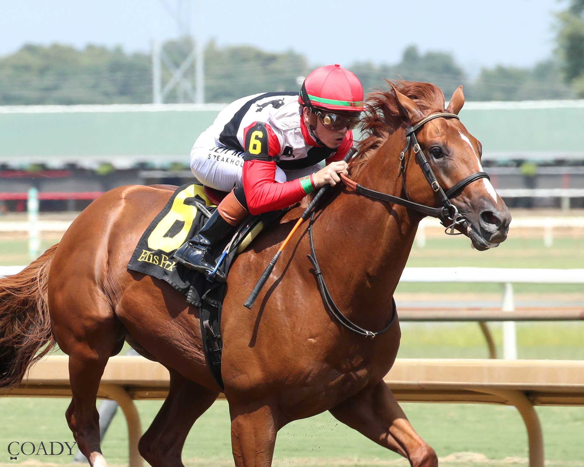 Road To The Kentucky Derby Begins In 10-Strong Iroquois Stakes ...