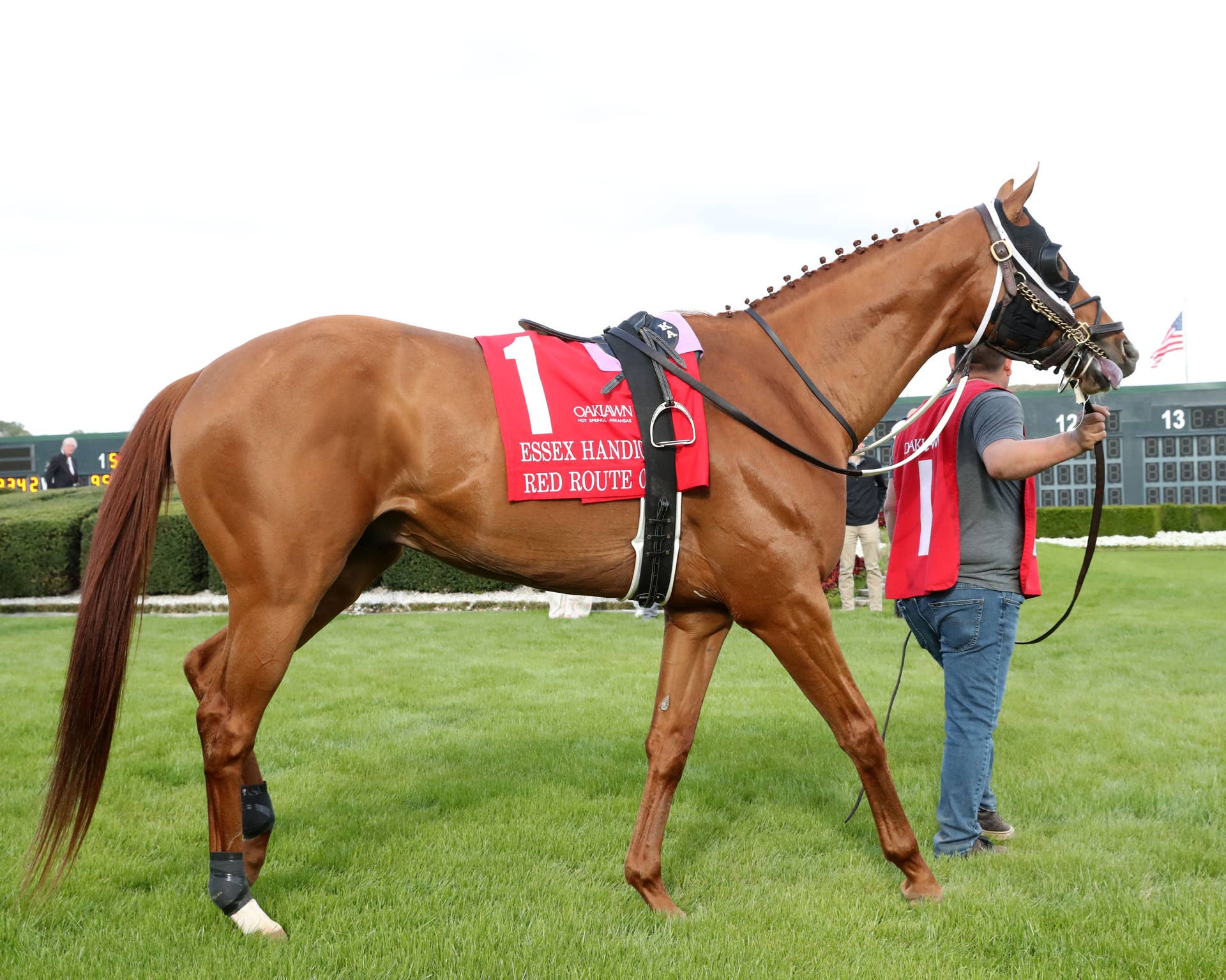 Red Route Customs Red Route One To Enter Stud in Argentina In 2026 - Paulick Report