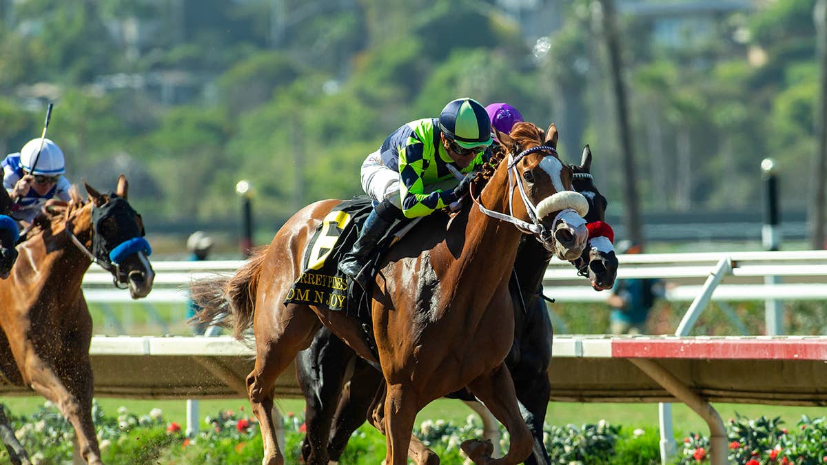 Top Cal-Breds Om N Joy, Grand Slam Smile Face Off In Fran’s Valentine Stakes