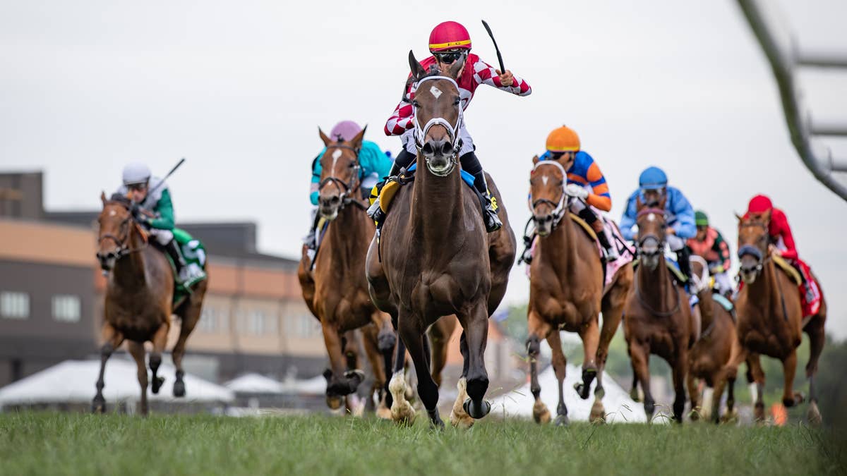 ‘She Should Run A Big Race’: Stellify Returns To Kentucky Downs To Defend Ladies Marathon Title