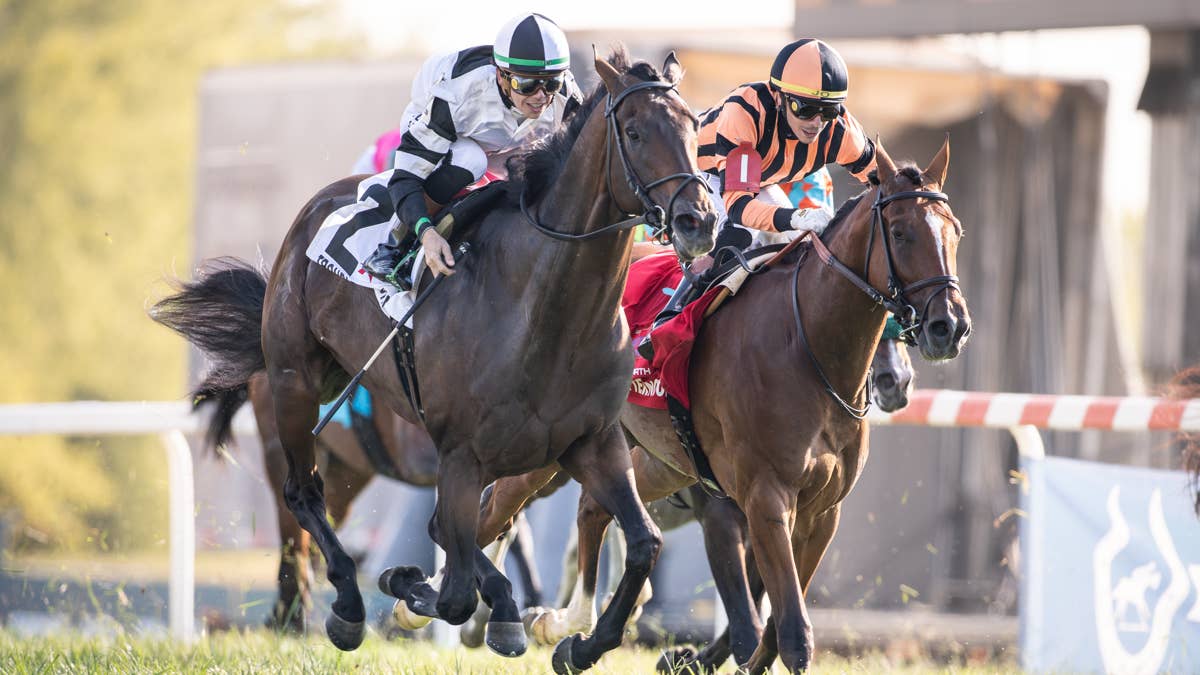 Grade 1 Winner Troubleshooting Headlines Tri-State Turf Sprint