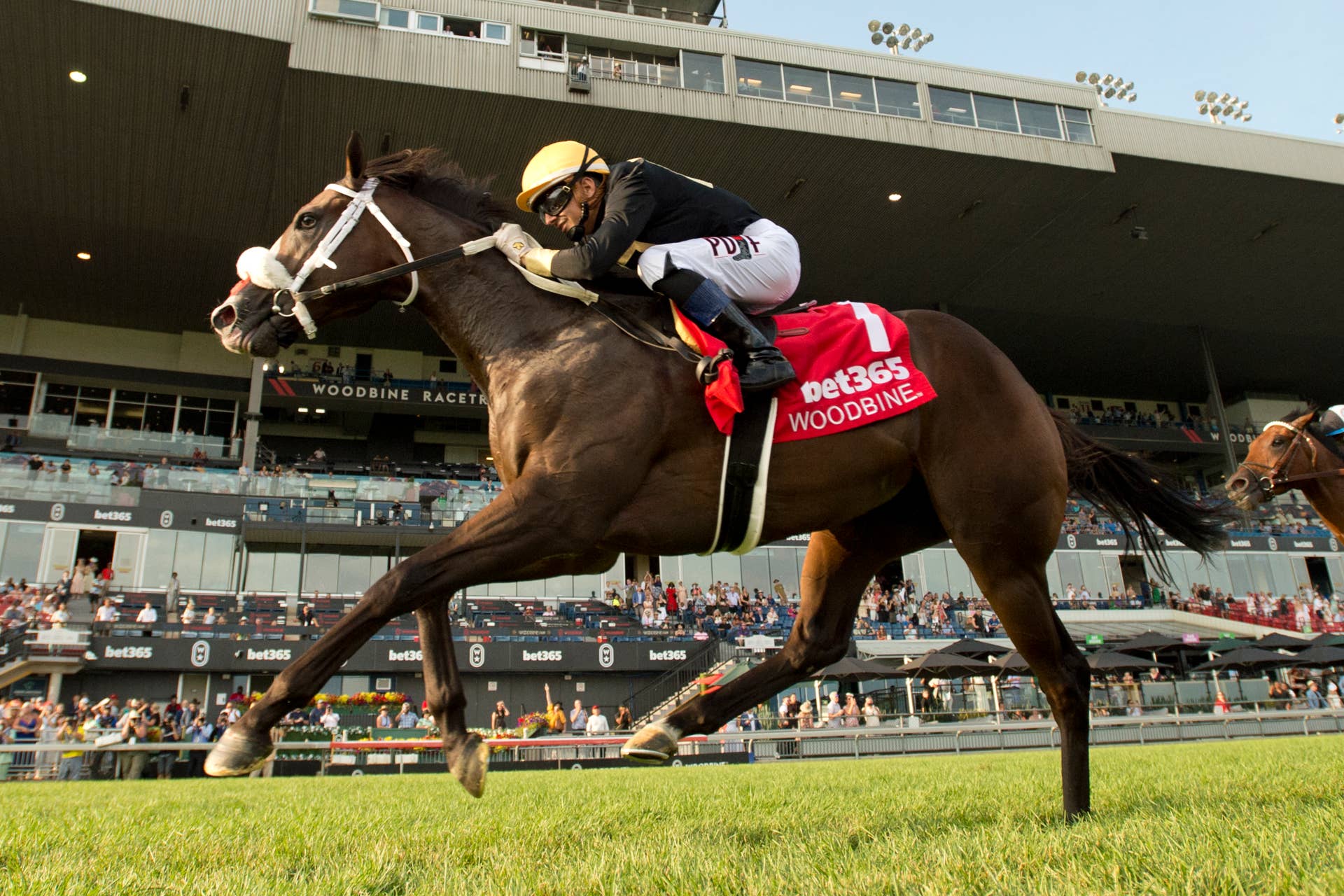 Gentildonna Surges to Victory in Dubai Sheema Classic - Paulick Report