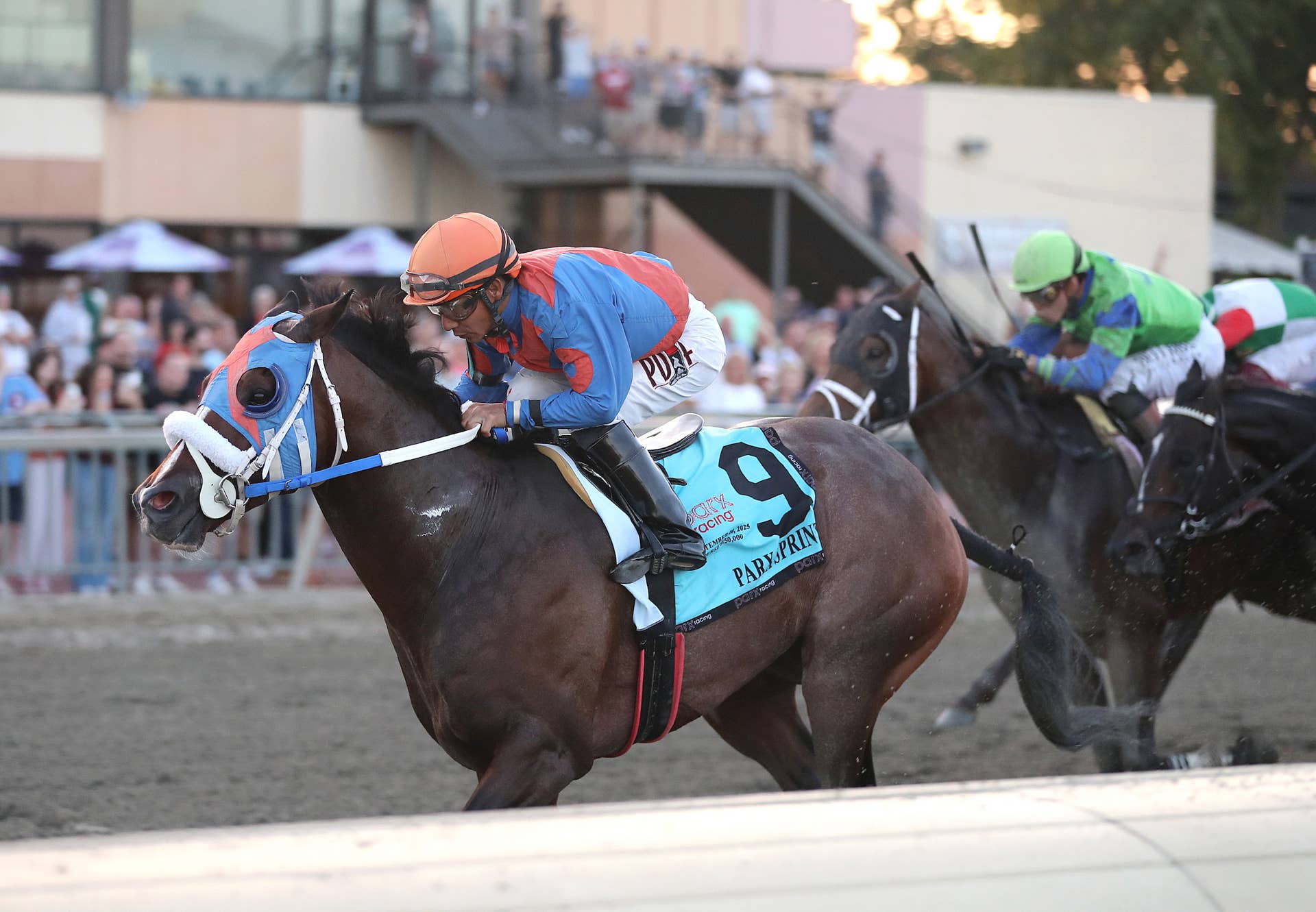 Buccherino Named 2025 Parx Racing Horse Of The Year - Paulick Report