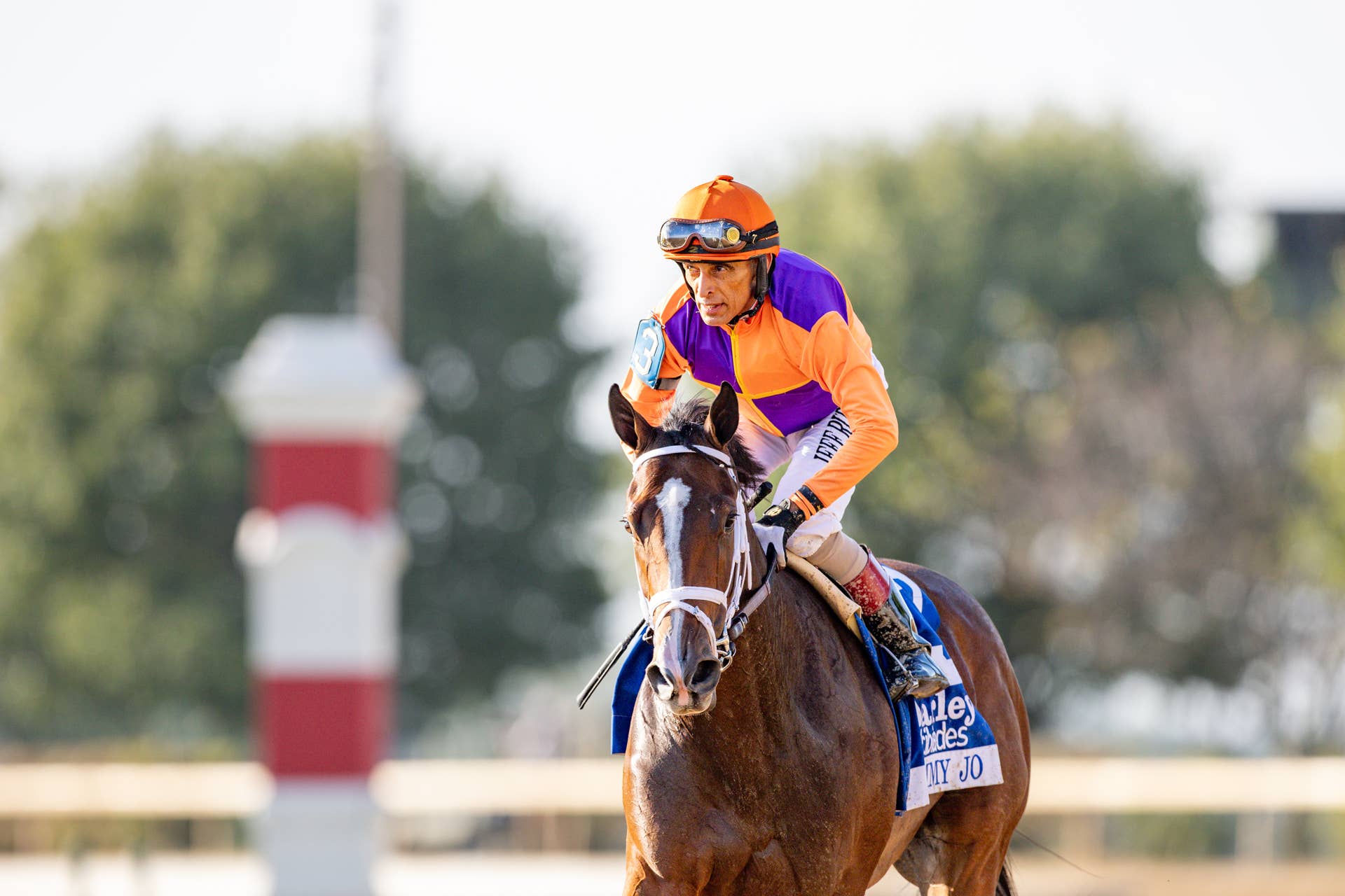 Spendthrift Double-Handed For Victory Ride With Tommy Jo, Goodall
