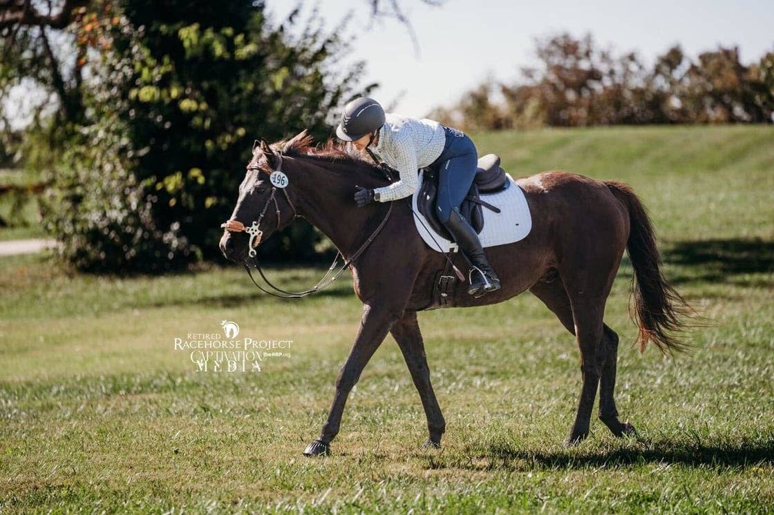 Preliminary Competition Concludes At 2026 Thoroughbred Makeover ...