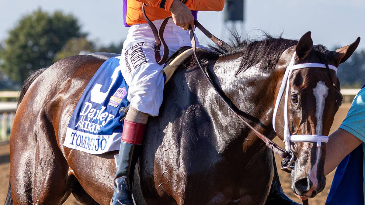 Two-Time G1 Winner Tommy Jo Nears Return At Saratoga