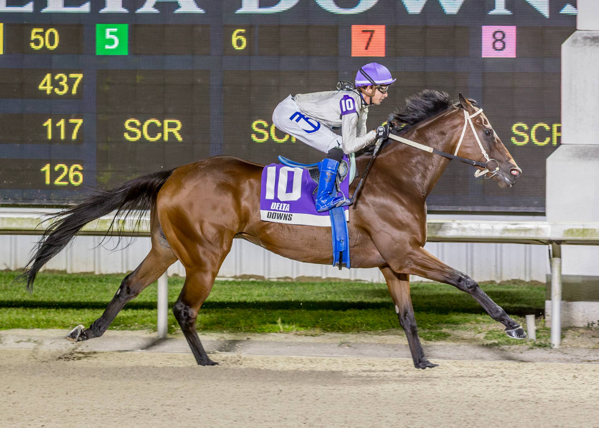 Millionaire Touchuponastar Kicks Off Delta Downs 2026-27 Thoroughbred ...