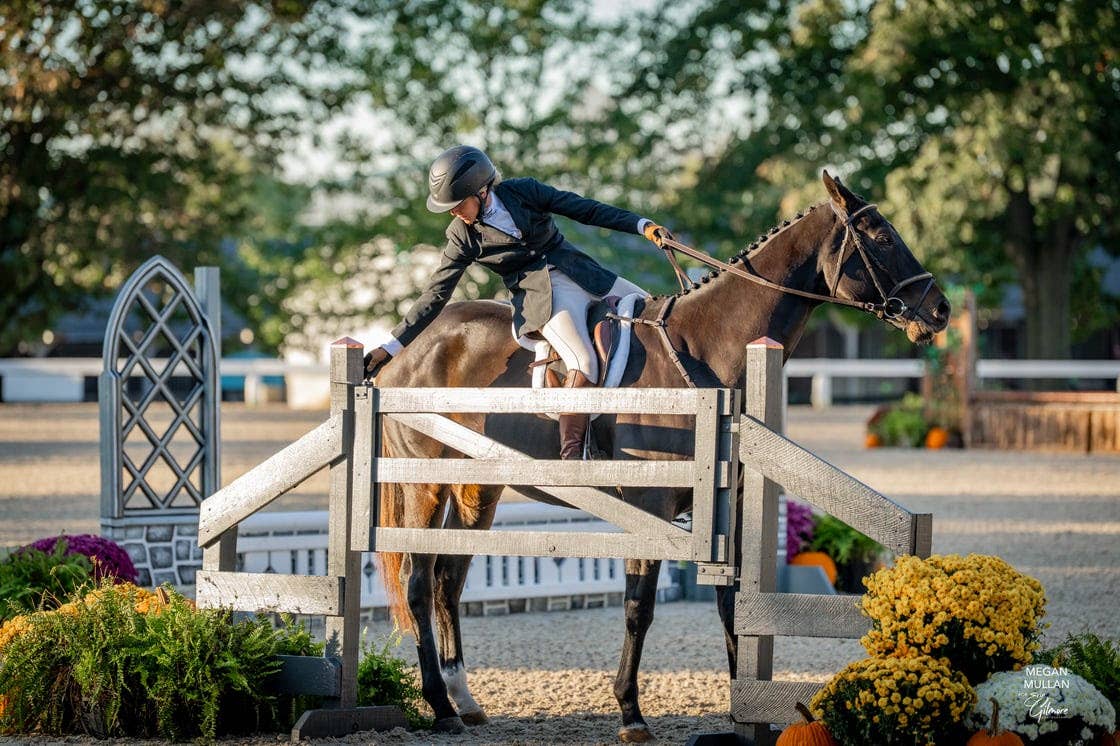 Making Claims: The Thoroughbred Makeover And The Slow March Of