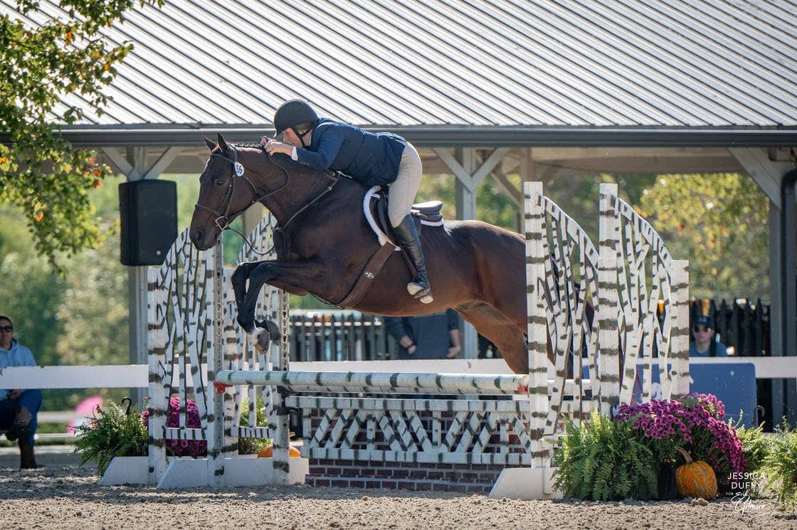 Retired Racehorse Project Adds Graduate Classes To 2026 Thoroughbred ...