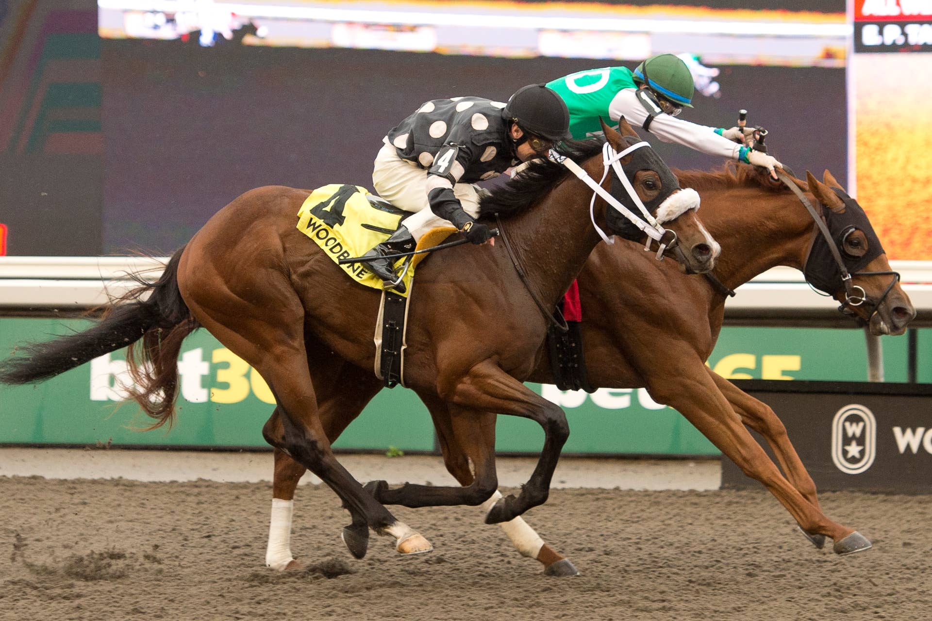 Gentildonna Surges to Victory in Dubai Sheema Classic - Paulick Report