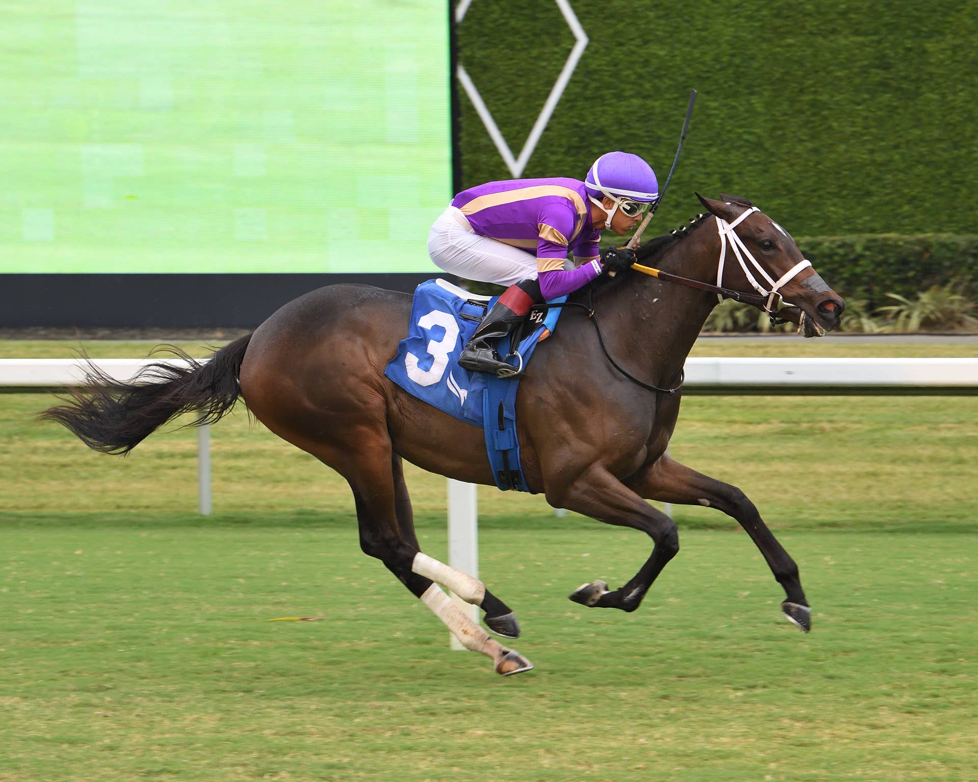 Liberty Island Secures Japan's Filly Triple Crown With Shuka Sho