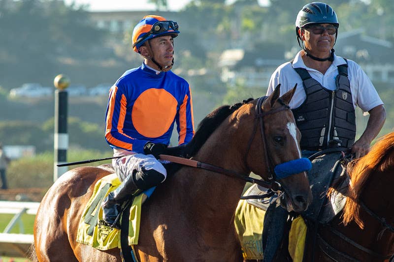 Gentildonna Surges to Victory in Dubai Sheema Classic - Paulick Report Gentildonna Surges to Victory in Dubai Sheema Classic - Paulick Report