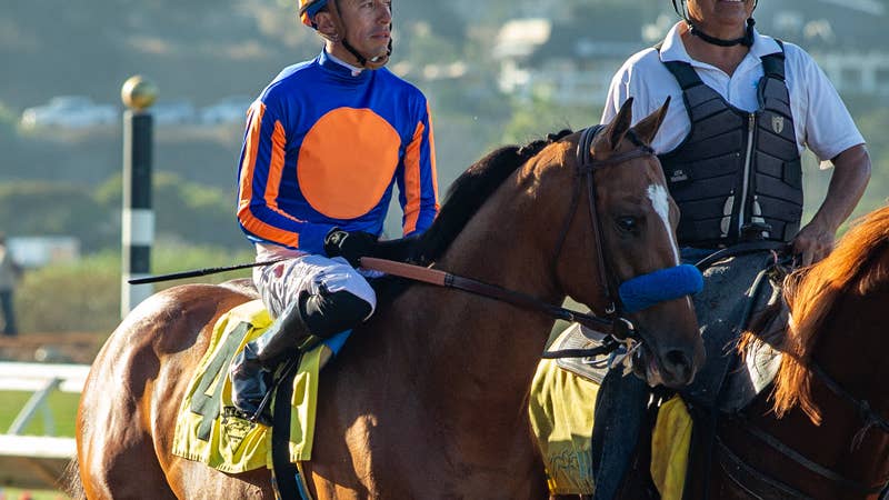 Robert B. Lewis Winner Plutarch Features In Ellis Park Derby